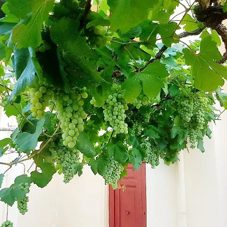 Apartamento Dimora Del Conte *