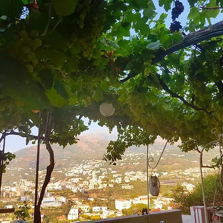 Dimora Del Conte Sorrento Coast Seaview *