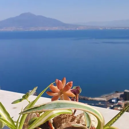 Dimora Del Conte Sorrento Coast Seaview Apartment *